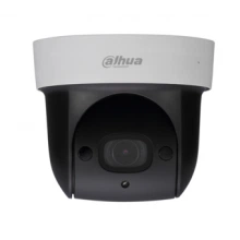 IP-камера DAHUA DH-SD29204T-GN