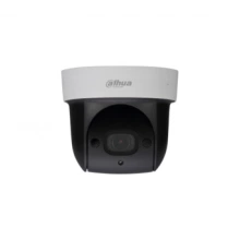 IP-камера DAHUA DH-SD29204UE-GN